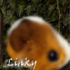 Linky, der Goldhamster
